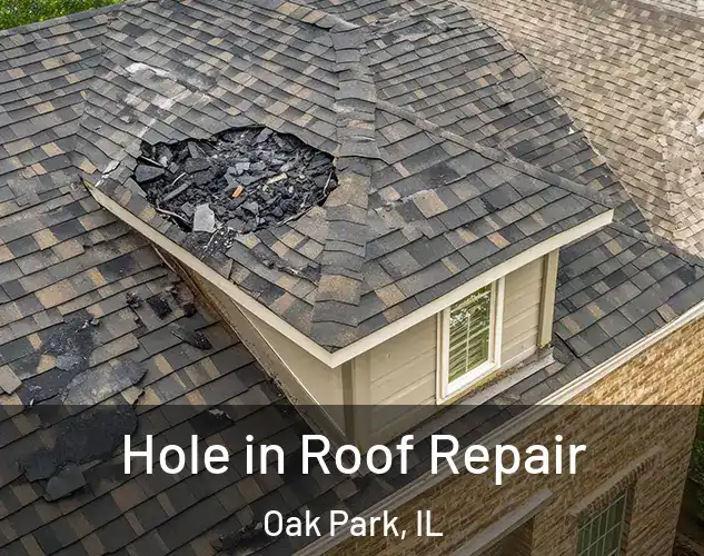  Hole in Roof Repair Oak Park, IL