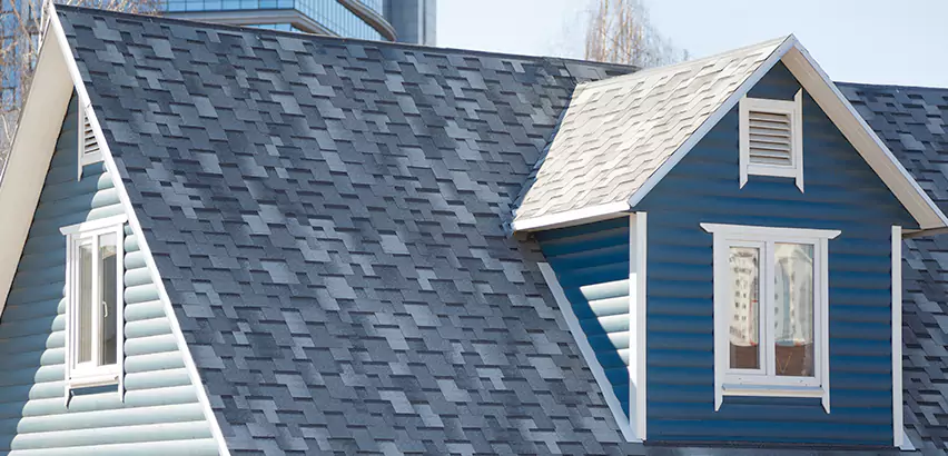 Shingle Roof Maintenance in Oak Park