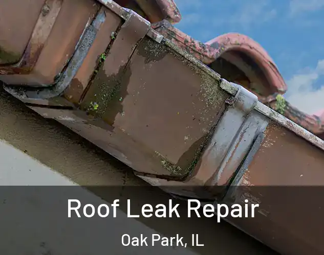  Roof Leak Repair Oak Park, IL