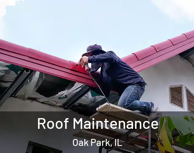  Roof Maintenance Oak Park, IL