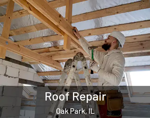 Roof Repair Oak Park, IL