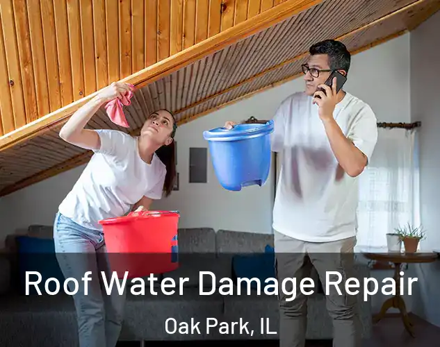  Roof Water Damage Repair Oak Park, IL