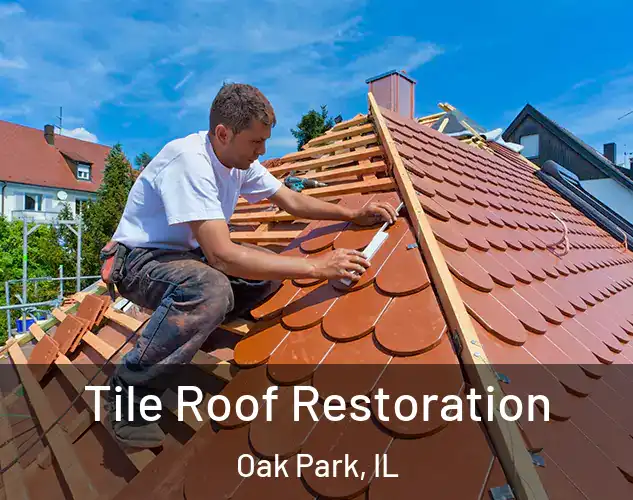  Tile Roof Restoration Oak Park, IL